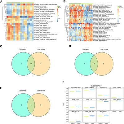 Identification of Core Genes and Screening of Potential Targets in Intervertebral Disc Degeneration Using Integrated Bioinformatics Analysis